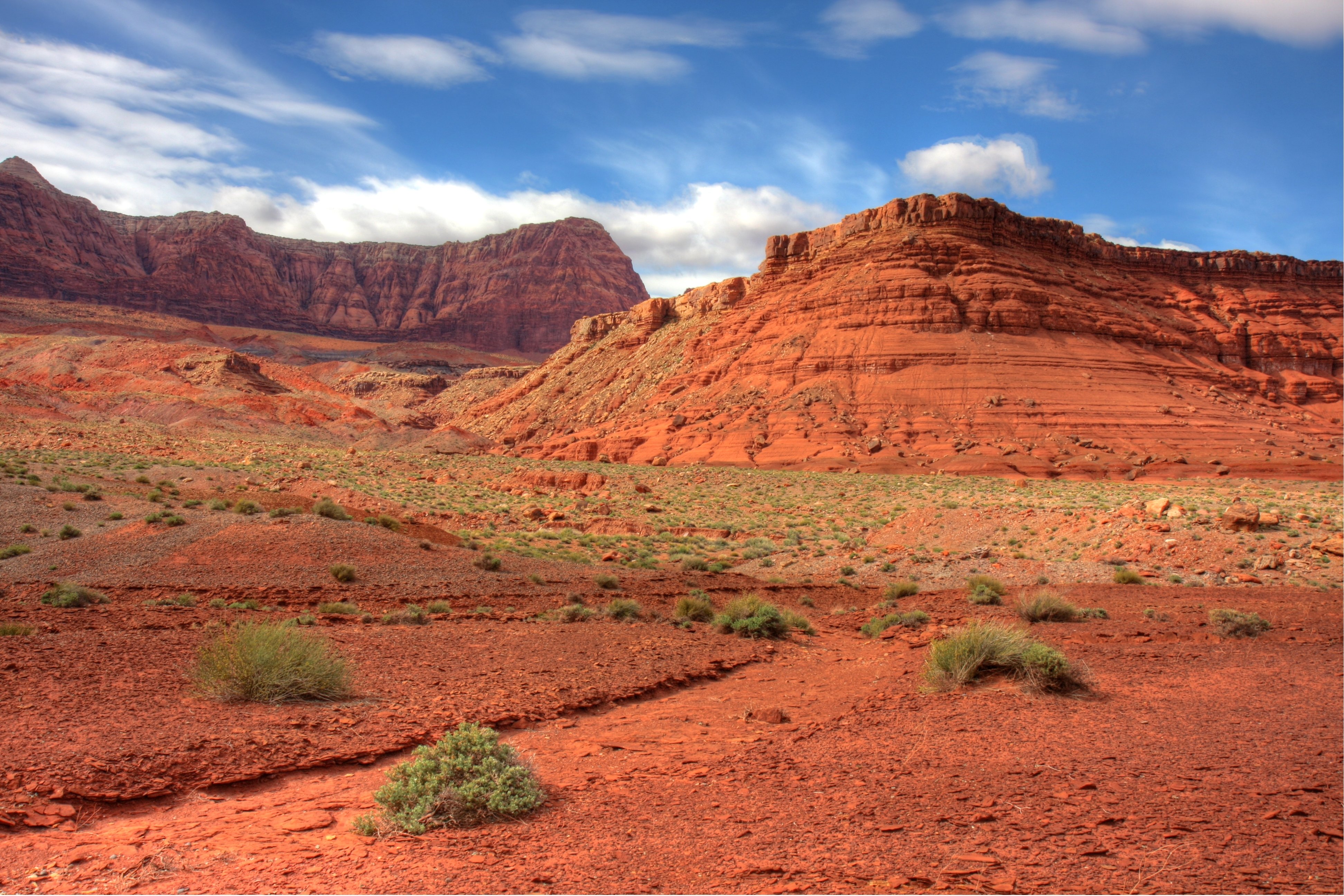 \ud83d\udd25 [50+] Arizona Desert Scenes Wallpapers | WallpaperSafari