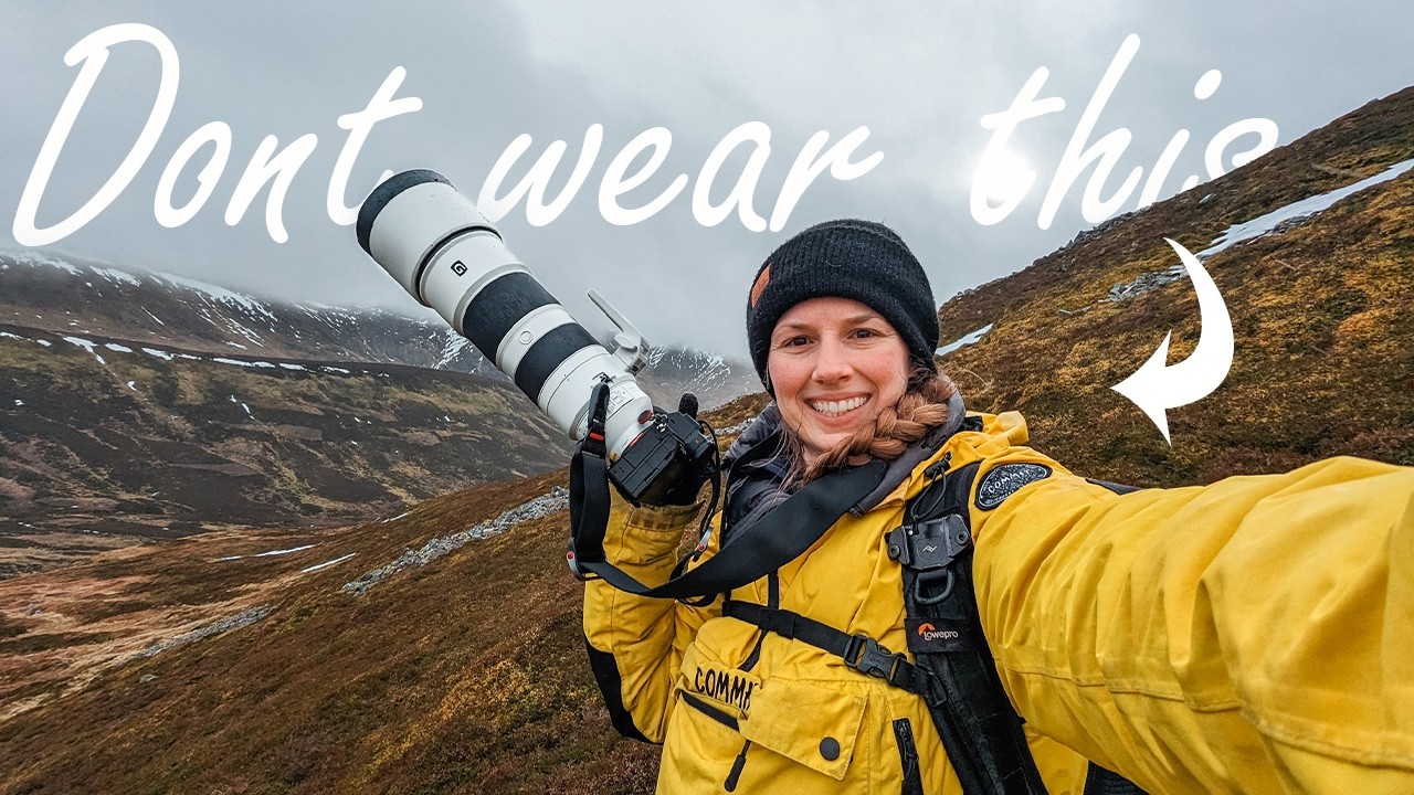 What I learnt in my first year as a wildlife photographer.