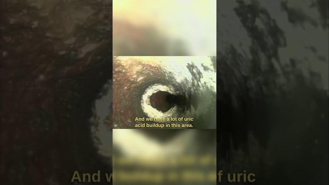 Sewer Camera Inspection Part 2 #shorts