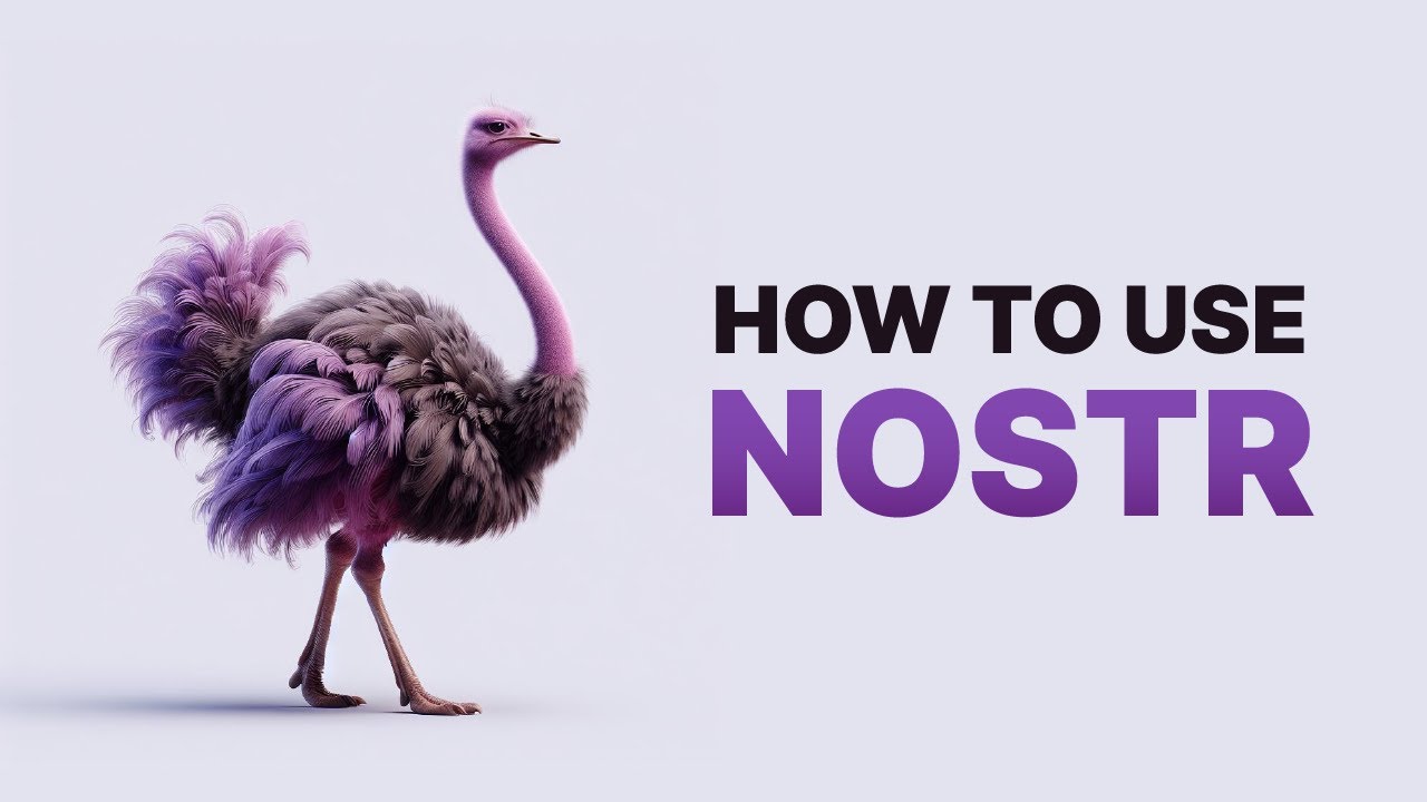 How to Use Nostr with MYNODE | Step-by-Step Tutorial