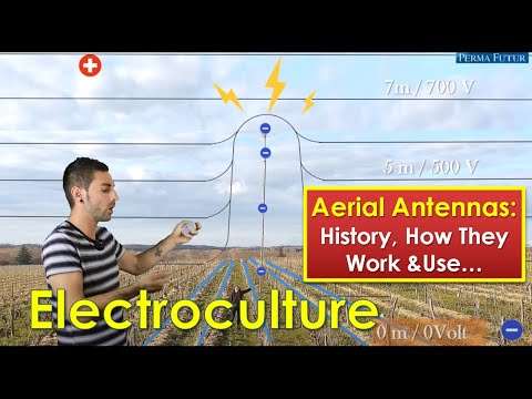 Aerial Electroculture Antennas: History, How They Work, and Use in Gardens \u0026 Vineyards