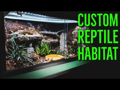 Custom Reptile Habitats Kingsnake Bioactive Enclosure REVIEW!