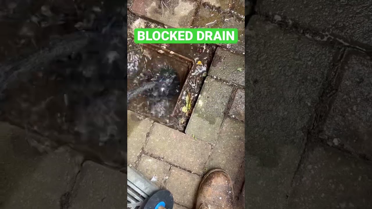 Me and a blocked gully 😀 #drains #blockeddrains #diy #satisfying