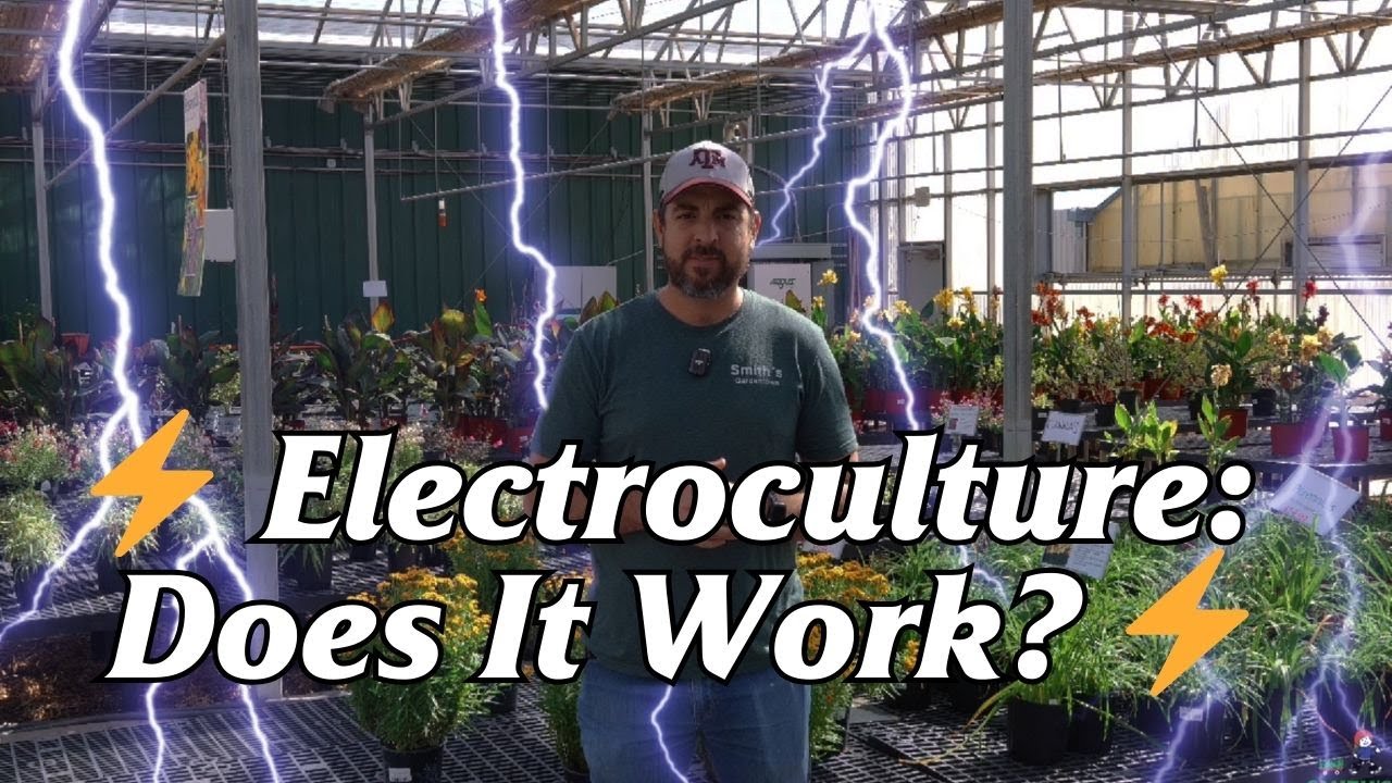 ⚡️ Electroculture: Does It Work? ⚡️