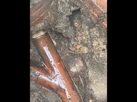 🚨 Blocked Drains Callout Reveals Bigger Problems | Drain Survey Snippet 🎥