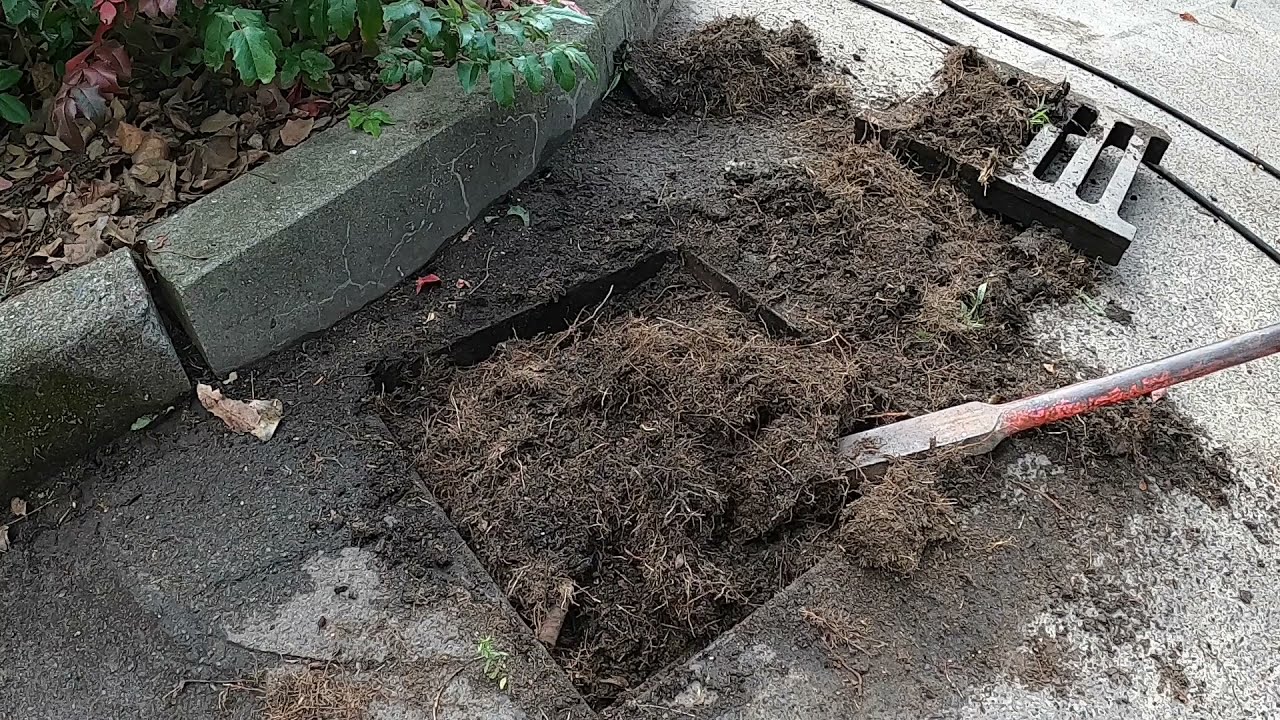 Kempinger 228. He only wanted it unblocked. I never saw such an unbelievable rooted stormwater gully
