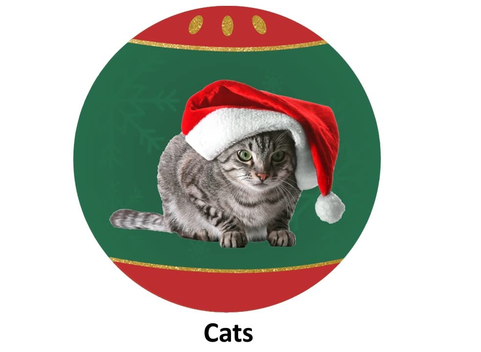 Pet Supplies Store - Amazon.co.uk